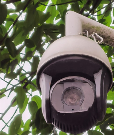 AI視頻聯(lián)網報警系統(tǒng)提示：湖景雖美，但請遠離堤岸|峨眉山|峨秀湖|戶外監(jiān)控球機