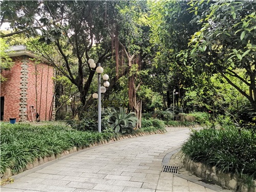 高清監(jiān)控攝像頭|監(jiān)控攝像頭|廣角監(jiān)控攝像頭|小區(qū)監(jiān)控 高清監(jiān)控攝像頭|監(jiān)控攝像頭|廣角監(jiān)控攝像頭|小區(qū)監(jiān)控