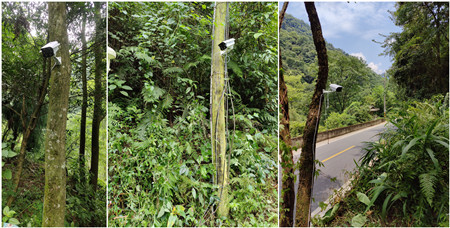 監(jiān)控攝像頭|基站監(jiān)控攝像頭|野外監(jiān)控系統(tǒng) 監(jiān)控攝像頭|基站監(jiān)控攝像頭|野外監(jiān)控系統(tǒng)