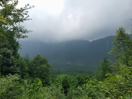 野外安裝監(jiān)控?cái)z像頭，在披荊斬棘中奮斗