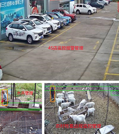 無電無網(wǎng)少人煙的野外，還想裝監(jiān)控系統(tǒng)？這不是空想