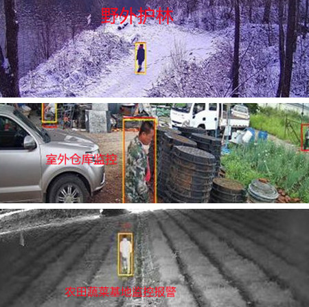 無電無網(wǎng)少人煙的野外，還想裝監(jiān)控系統(tǒng)？這不是空想