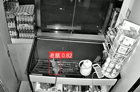 AI智能監(jiān)控算法推出新算法，老鼠再也無處可逃