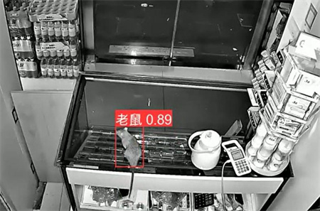 AI視頻監(jiān)控能拍到老鼠？老鼠監(jiān)控算法說可以