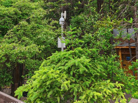 夏季來(lái)臨，AI視頻監(jiān)控新防下水算法解決管理難題