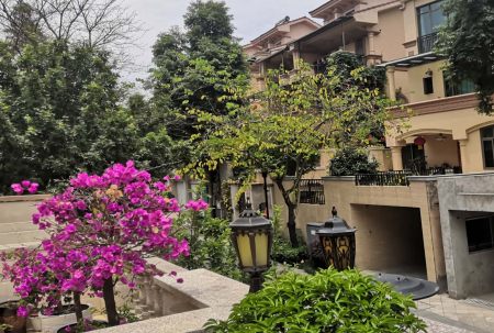 小區(qū)屢被“光顧”，居家安全小區(qū)安防請(qǐng)多加重視