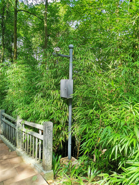 安防監(jiān)控系統(tǒng)工程中的AI智能算法，可實(shí)現(xiàn)包括：人形識(shí)別、火焰識(shí)別、車輛識(shí)別、行為識(shí)別等一系列的AI智能識(shí)別算法